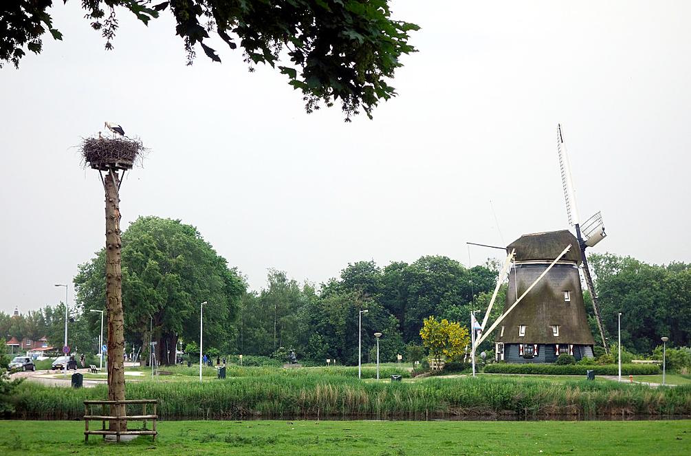 7, Molen 06912 De Riekermolen (Amsterdam), Hans Konings (29-5-2016) | Database Nederlandse molens