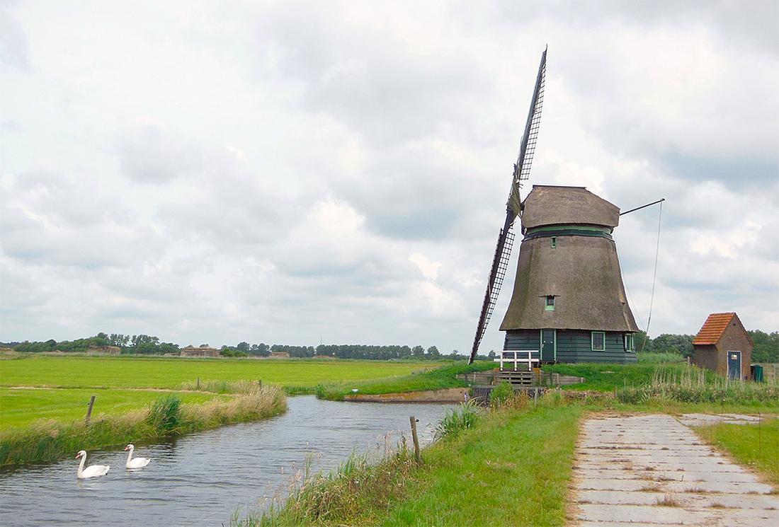 3, Molen 01097 Philisteinse Molen (Bergen), R. Kingma (4-7-2014) | Database Nederlandse molens