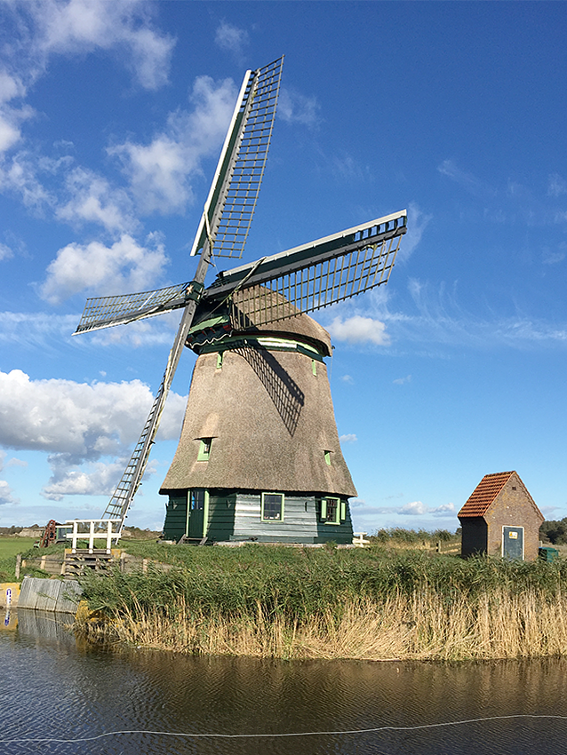 1, Molen 01097 Philisteinse Molen (Bergen), Frank Bilsen (10-10-2016) | Database Nederlandse molens