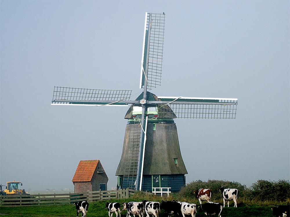 4, Molen 01097 Philisteinse Molen (Bergen), Michiel Hooijberg (2-10-2015) | Database Nederlandse molens