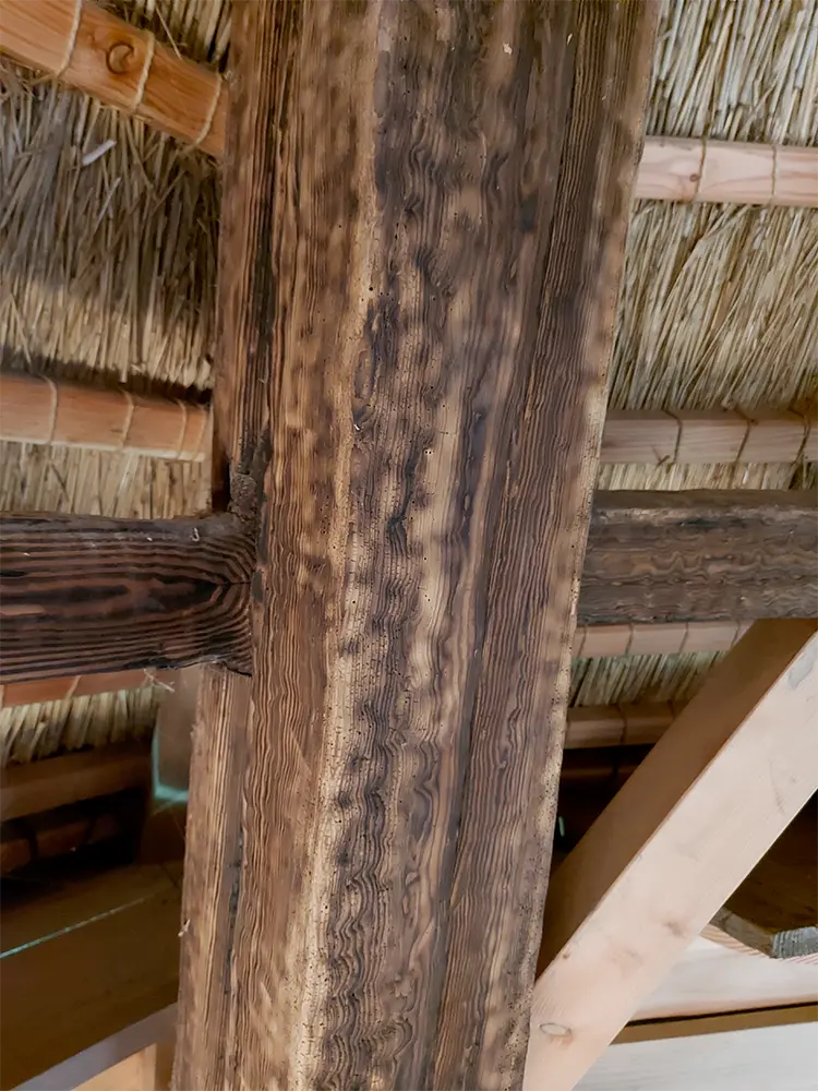 8, Molen 01420 Ceres (Bovenkarspel), Jesse Bergquist (6-1-2022)Na de brand kon gelukkig veel oud materiaal behouden blijven. | Database Nederlandse molens