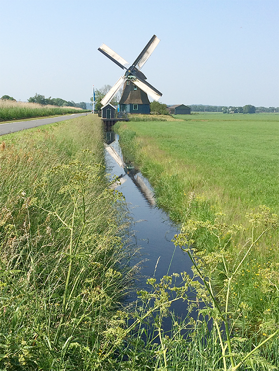 5, Molen 00322 Molen F (Burgerbrug), Klaas Zaal (6-4-2016) | Database Nederlandse molens