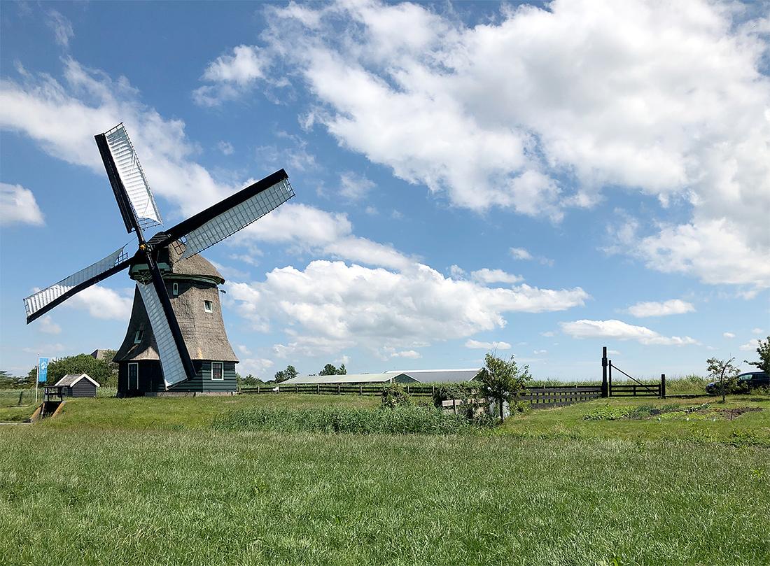 8, Molen 00322 Molen F (Burgerbrug), Klaas Zaal (13-6-2020)Molen F draaiend voor de prins op West. | Database Nederlandse molens