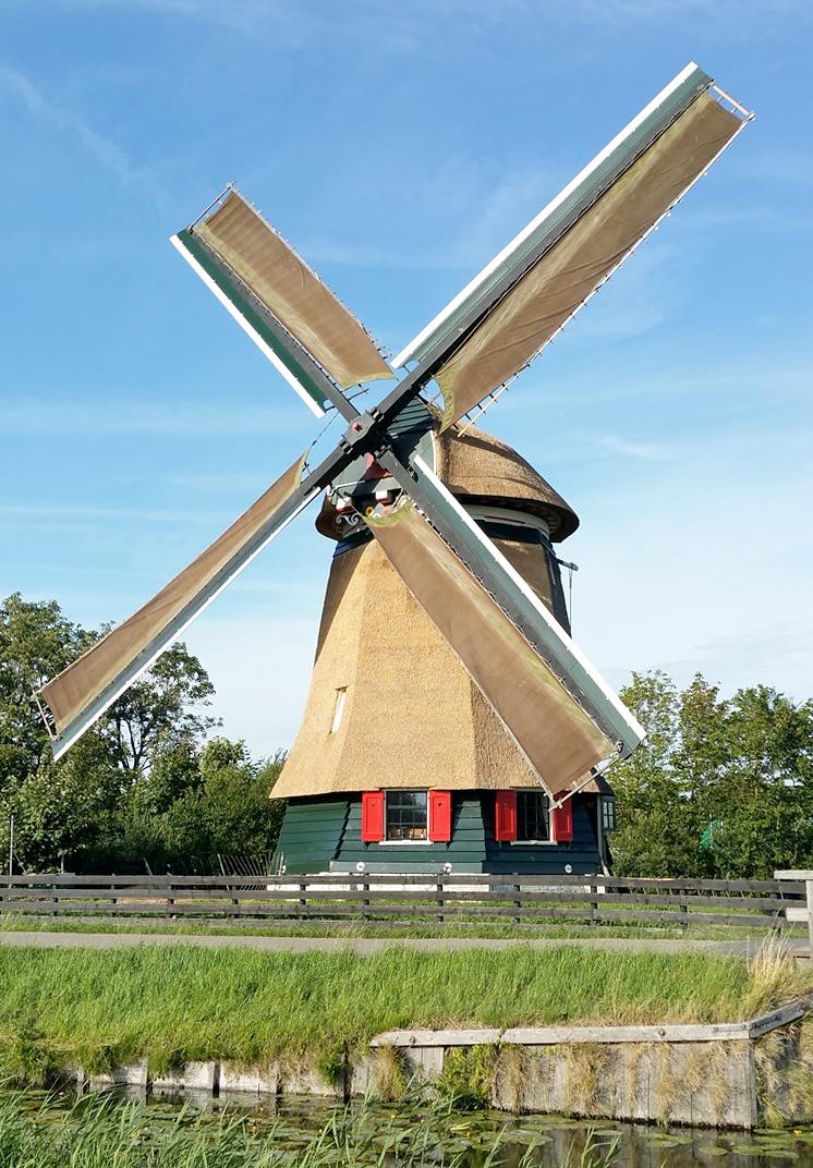 1, Molen 01156 Molen van de Zuidpolder (Edam), Molen in de zeilen met nieuw rietdekMark Ravesloot (3-8-2015) | Database Nederlandse molens