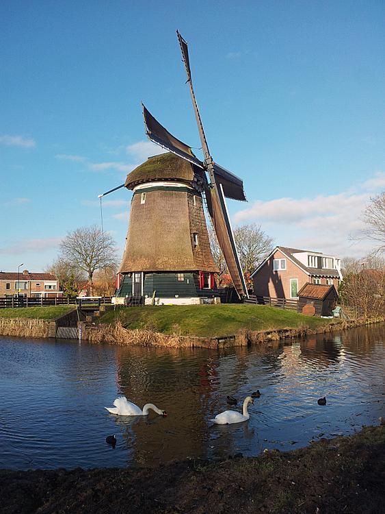 5, Molen 01156 Molen van de Zuidpolder (Edam), Mark Ravesloot (22-2-2013). | Database Nederlandse molens