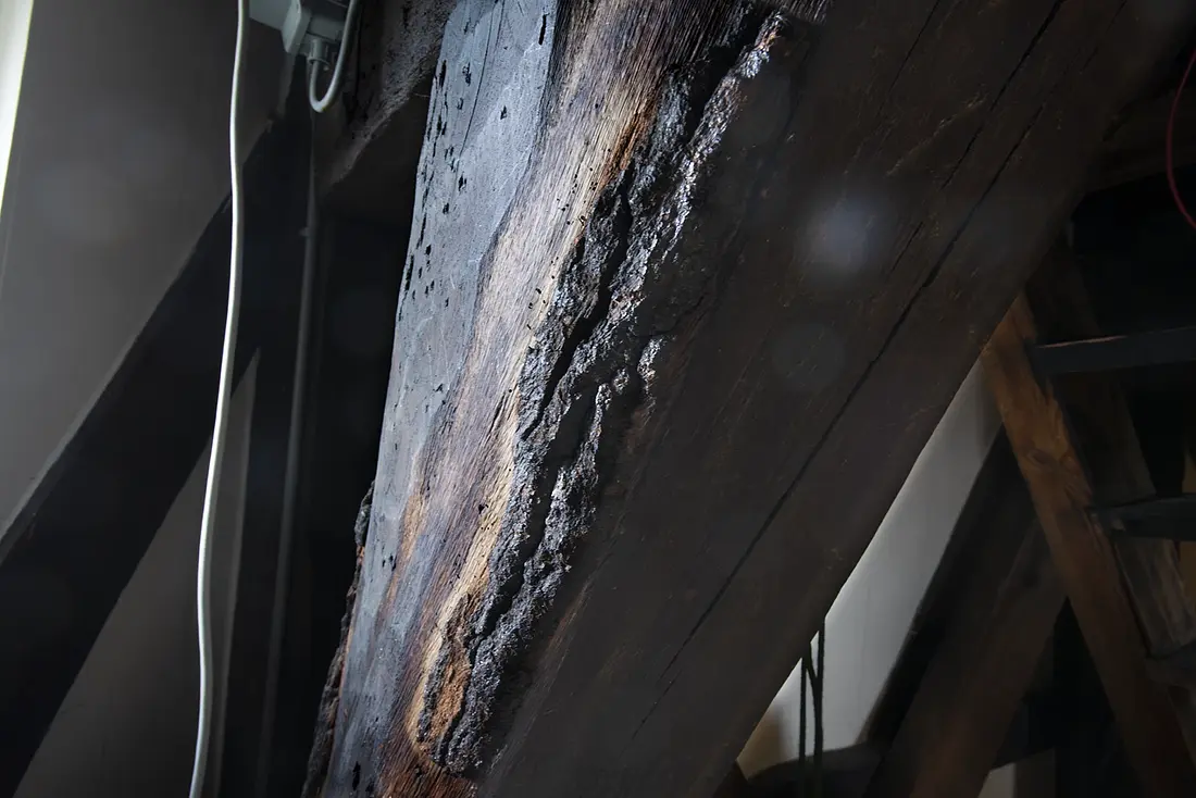 17, Molen 01156 Molen van de Zuidpolder (Edam), BB (9-4-2022)Bij de afwerking van de balken is hier en daar boomschors gewoon blijven zitten. | Database Nederlandse molens