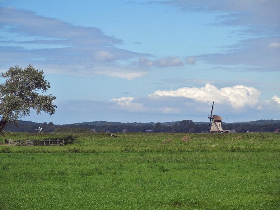 4, Molen 01098 Wimmenumer molen (Egmond aan den Hoef), Piet Glasbergen (2-9-2014)Schitterende biotoop onder wolkenluchten met de duinen op de achtergrond. | Database Nederlandse molens