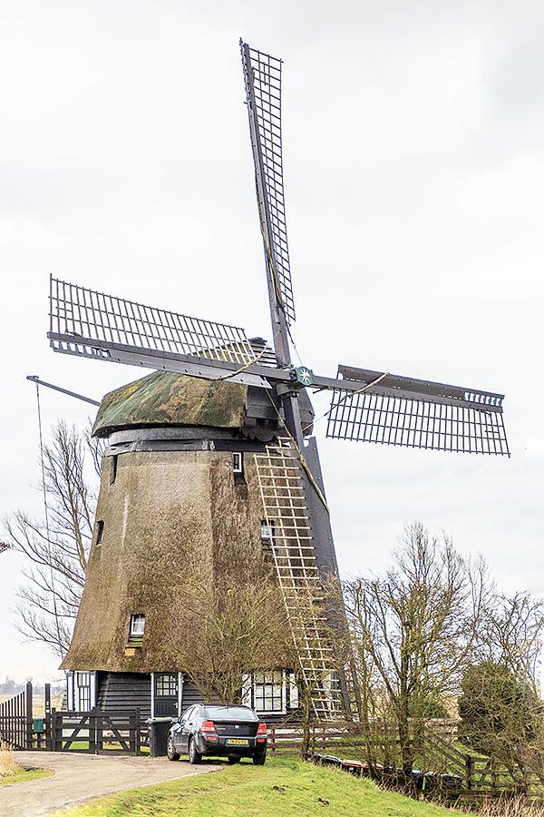 Molen 00163 a De Havik (Grootschermer), Frank Hendriks (9-3-2021) | Database Nederlandse molens