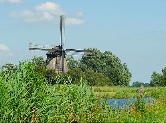 1, Molen 00163 a De Havik (Grootschermer), Gerard Roomer (4-7-2009) | Database Nederlandse molens