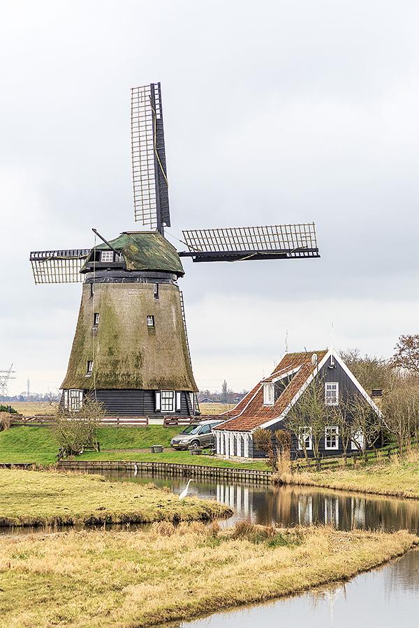 2, Molen 00163 a De Havik (Grootschermer), Frank Hendriks (9-3-2021) | Database Nederlandse molens