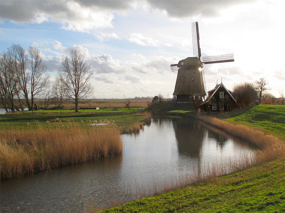 3, Molen 00163 a De Havik (Grootschermer), Piet Glasbergen (11-2-2016) | Database Nederlandse molens