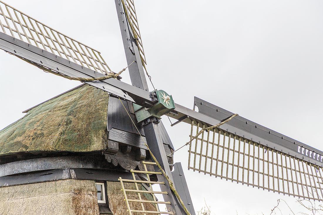 5, Molen 00163 a De Havik (Grootschermer), Frank Hendriks (9-3-2021) | Database Nederlandse molens
