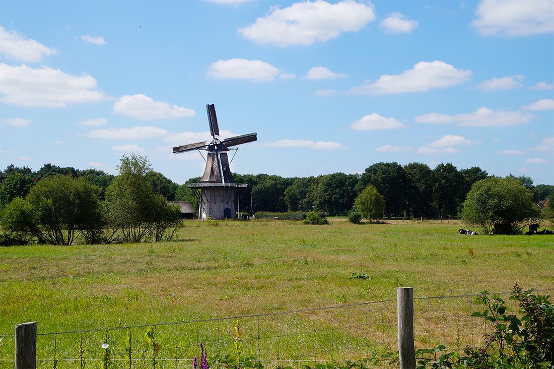 1, Molen 10683 De Star (Balkbrug), Matthieu Hoogduin (14-7-2018) | Database Nederlandse molens
