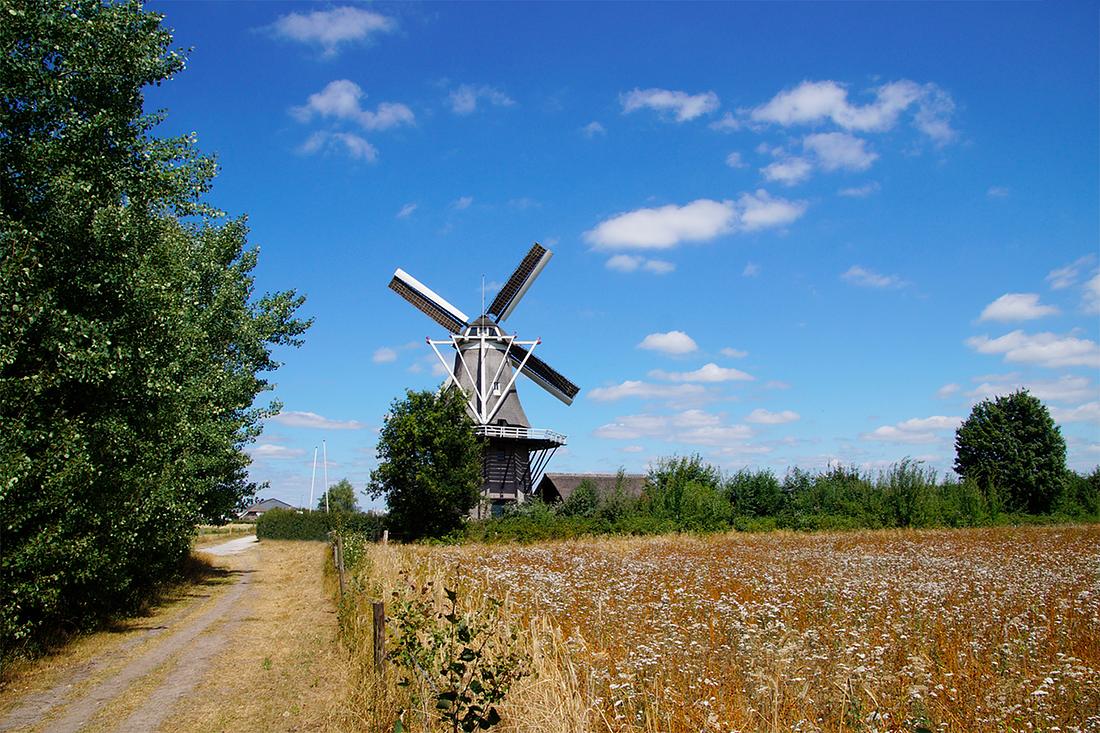 3, Molen 10683 De Star (Balkbrug), Matthieu Hoogduin (14-7-2018) | Database Nederlandse molens