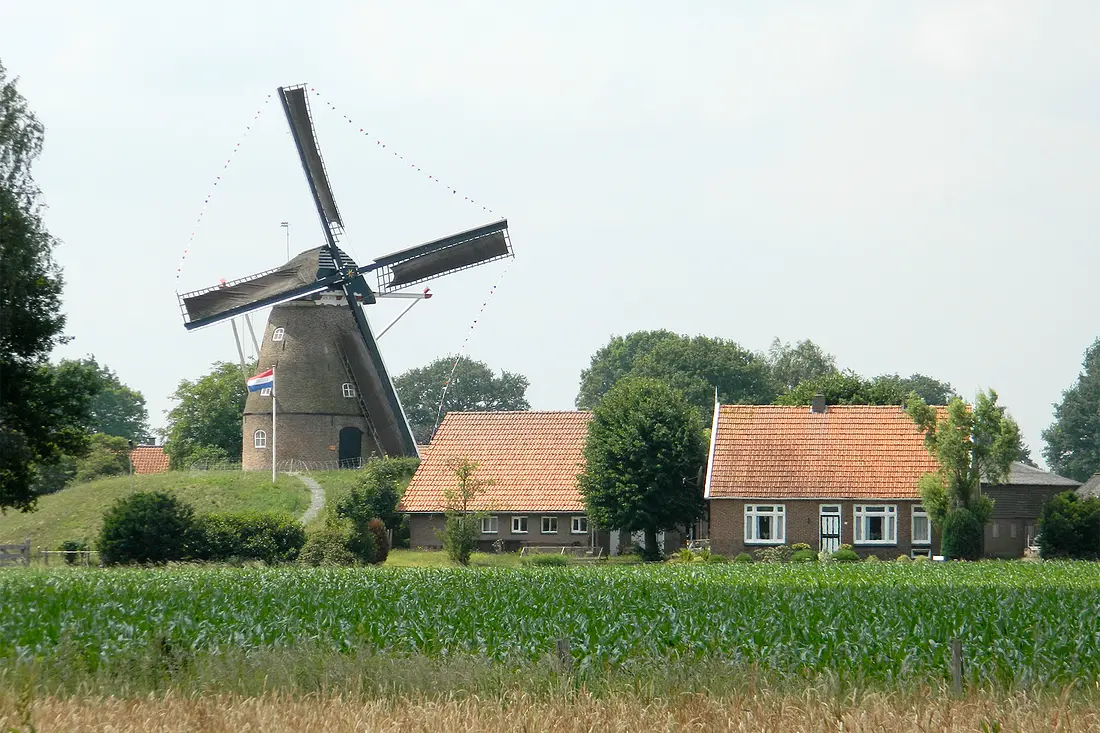 2, Molen 01031 Molen van Frielink / Grobbenmolen (Fleringen), Vincent Mepschen (10-6-2018) | Database Nederlandse molens