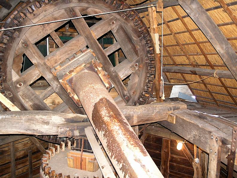 6, Molen 02669 De Korenbloem (Haaksbergen), Willem Jans (17-8-2005) | Database Nederlandse molens