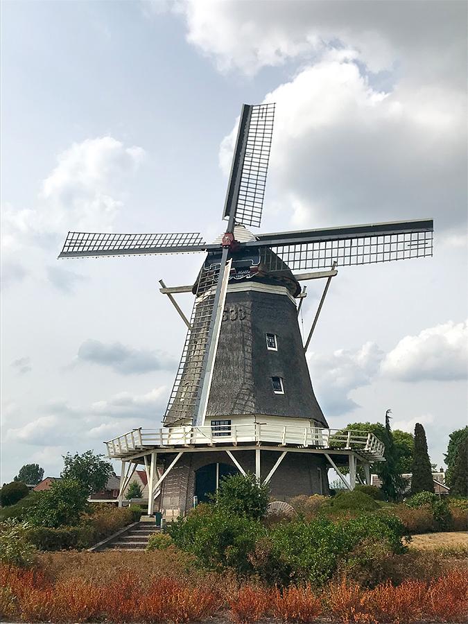 Molen 02699 De Oelemölle (Hardenberg), Toby de Kok (4-8-2018) | Database Nederlandse molens