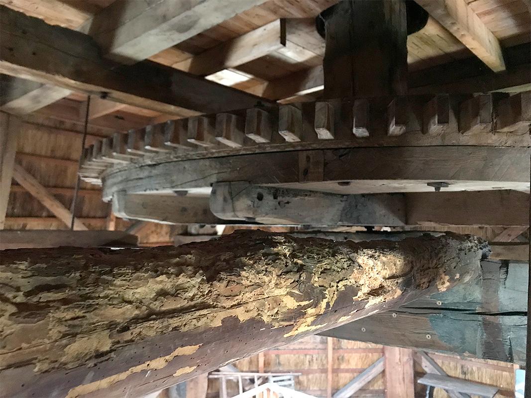 8, Molen 02699 De Oelemölle (Hardenberg), Toby de Kok (4-8-2018) | Database Nederlandse molens