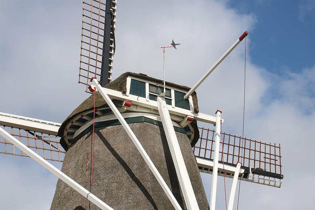6, Molen 01256 De Zwaluw (Hasselt), Ronald Bakker (24-3-2019) | Database Nederlandse molens