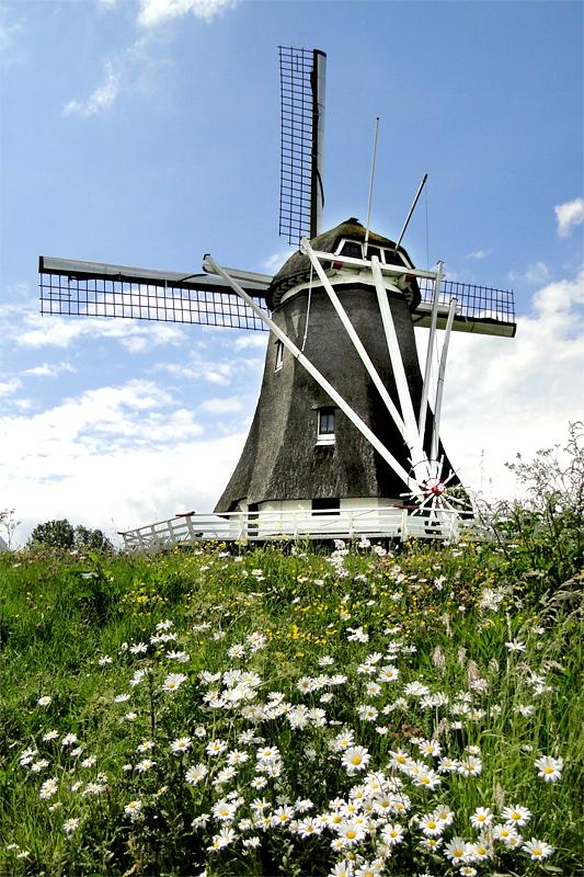 4, Molen 10697 D Olde Zwarver (Kampen), Christina Zoet (22-5-2011). | Database Nederlandse molens