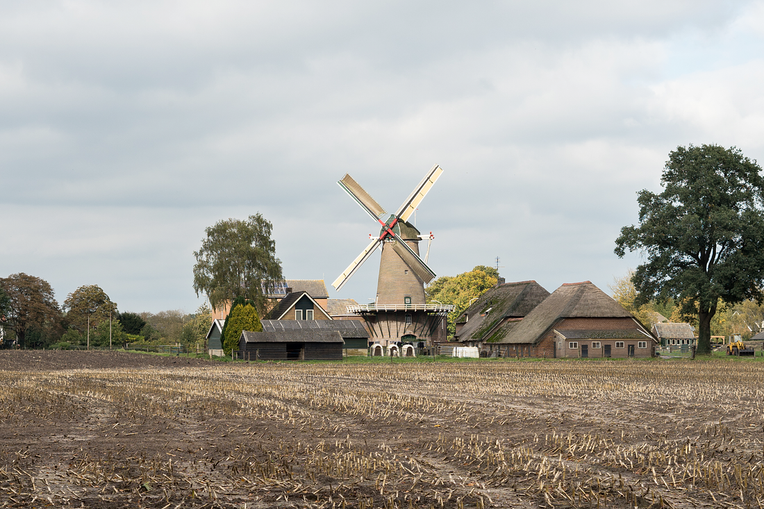 1, Molen 02645 De Leeuw (Lettele (Bathmen)), Marcel van Nies (13-10-2017) | Database Nederlandse molens