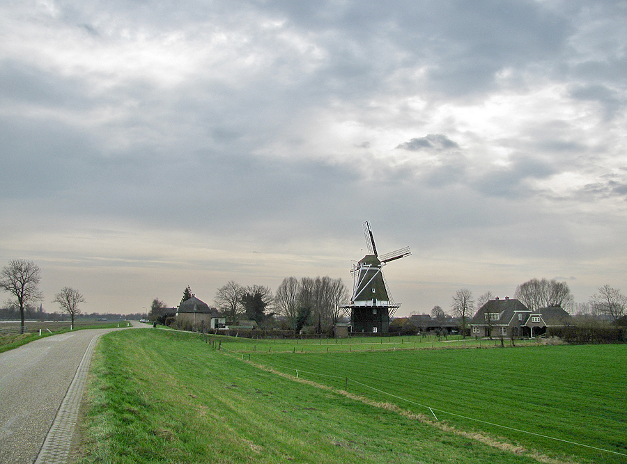 5, Molen 01829 De Vlijt (Marle), Vanuit het noorden gezien met links de IJsseldijk.  Piet Glasbergen (20-3-2012). | Database Nederlandse molens