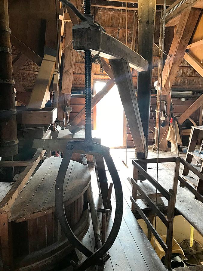 16, Molen 02634 De Lelie (Ommen), Toby de Kok (4-8-2018) | Database Nederlandse molens