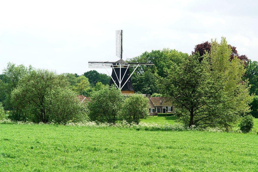 4, Molen 01023 Pelmolen Ter Horst (Rijssen), Frits Kruishaar (19-5-2012). | Database Nederlandse molens