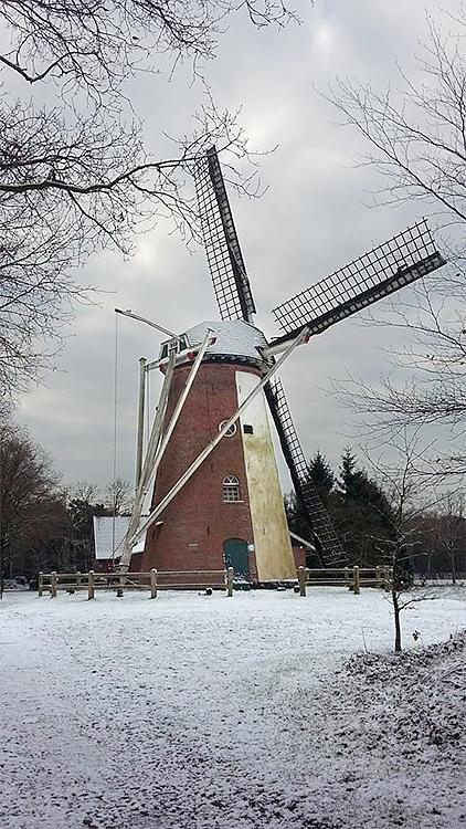 5, Molen 01029 Soaseler Möl (Saasveld), Marc Kleissen (17-1-2016) | Database Nederlandse molens