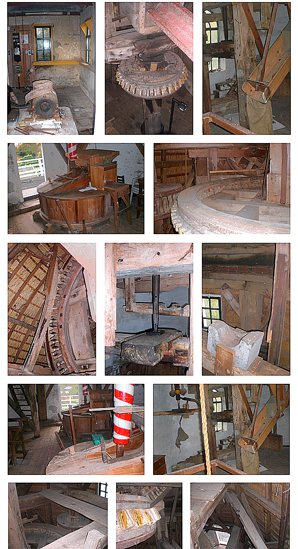 8, Molen 02703 De Pionier (Slagharen), Jerry Vondeling (najaar 2010) | Database Nederlandse molens