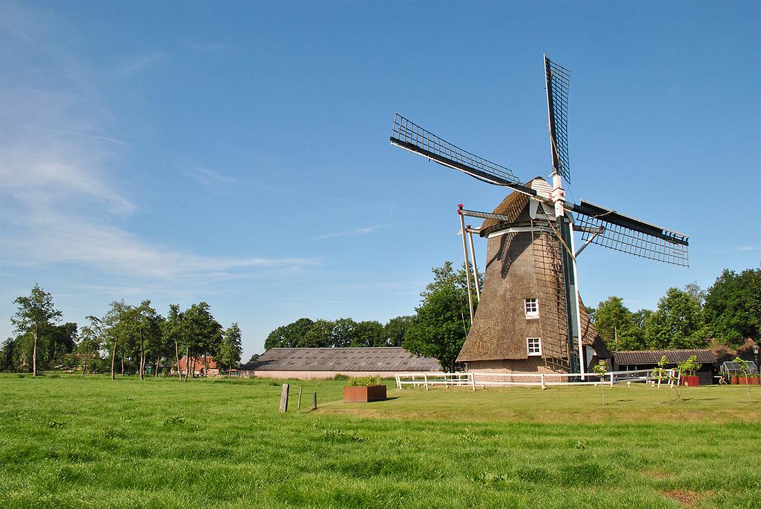 1, Molen 02630 De Leijen (Staphorst), Kees Kammeraat (16-6-2021) | Database Nederlandse molens