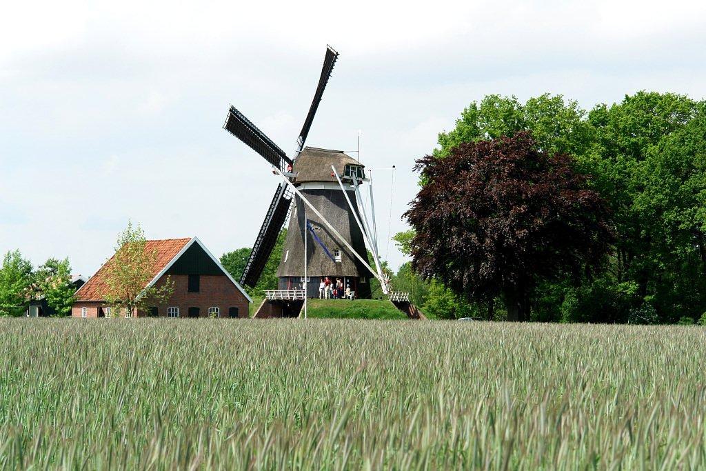 2, Molen 12172 Westerveld Möl (Tilligte), Frits Kruishaar (19-5-2012). | Database Nederlandse molens