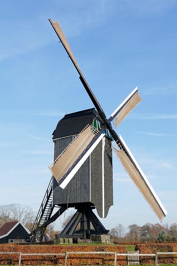 Molen 11458 Wissink's Möl (Enschede), Toine Zwitserlood (25-11-2020)De Möl te zien in volle glorie na de omvangrijke restauratie van dit jaar.  | Database Nederlandse molens