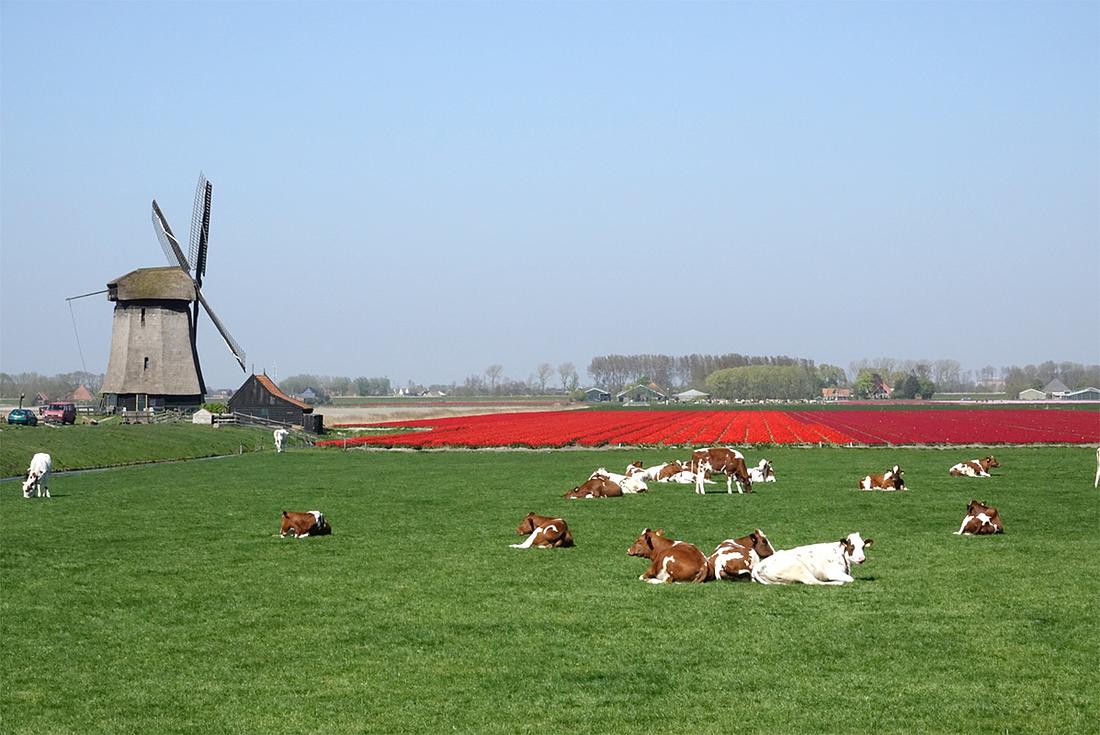2, Molen 00151 Poldermolen E (Stompetoren), Ruud Kampf (21-4-2020) | Database Nederlandse molens
