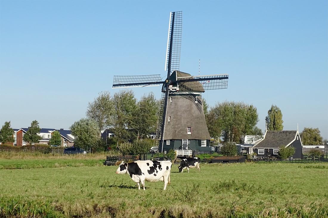 5, Molen 00029 Tweede Broekermolen (Uitgeest), Hennie Boersma (24-10-2021) | Database Nederlandse molens