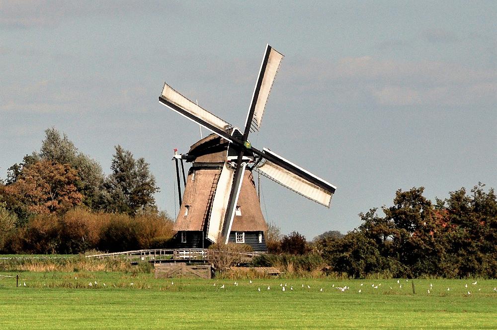 1, Molen 00033 Dorregeester molen (Uitgeest), Jan de Goede (29-9-2018) | Database Nederlandse molens