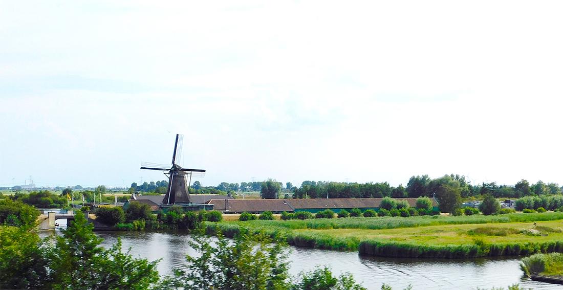 5, Molen 01067 De Schoolmeester (Westzaan), Piet Glasbergen (16-7-2018) | Database Nederlandse molens