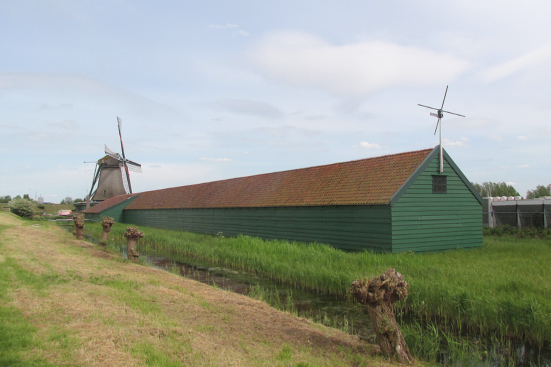 4, Molen 01067 De Schoolmeester (Westzaan), Piet Glasbergen (15-5-2017)De lange droogschuur (die ooit dus nog een stuk langer was). | Database Nederlandse molens