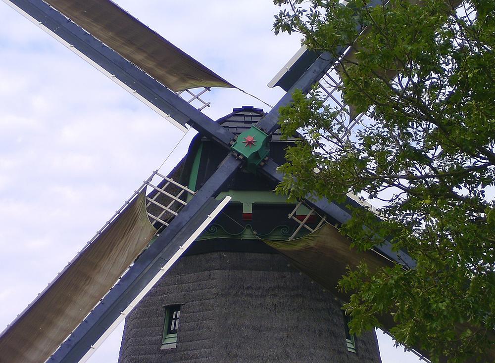 3, Molen 00341 De Hoop (Wieringerwaard), Julius Meijer (2-7-2012). | Database Nederlandse molens