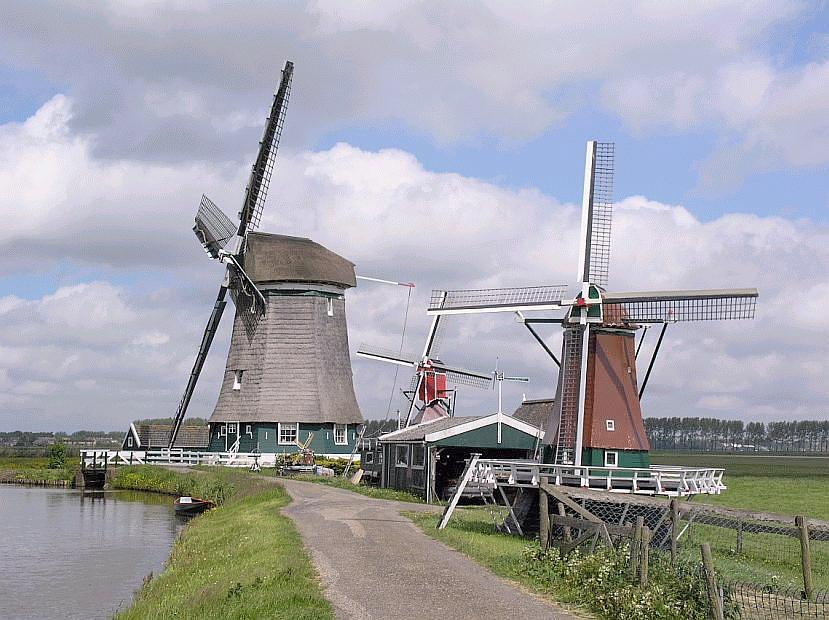 2, Molen 02546 Nieuw Leven (Wogmeer), Willem Jans (21-5-2005) | Database Nederlandse molens