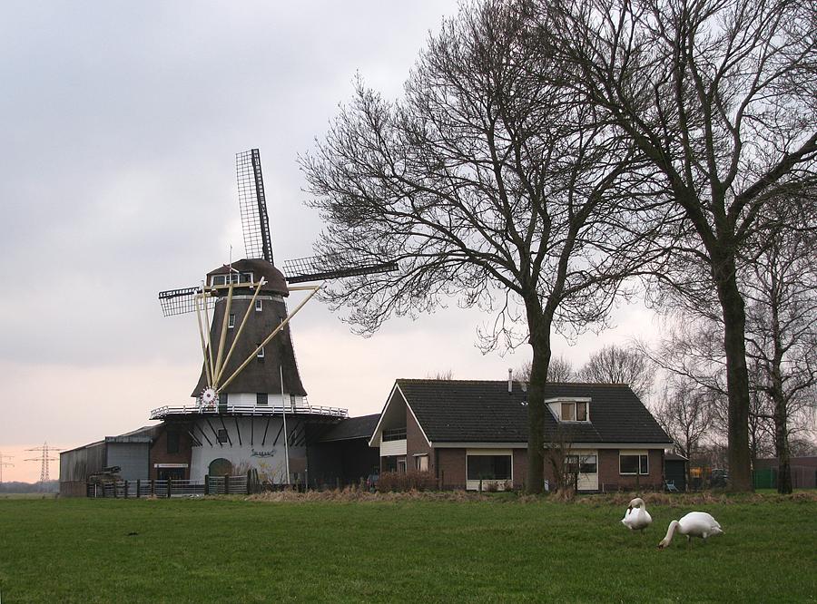 3, Molen 01146 De Kraai (Westbroek), Piet Glasbergen (17-2-2013). | Database Nederlandse molens