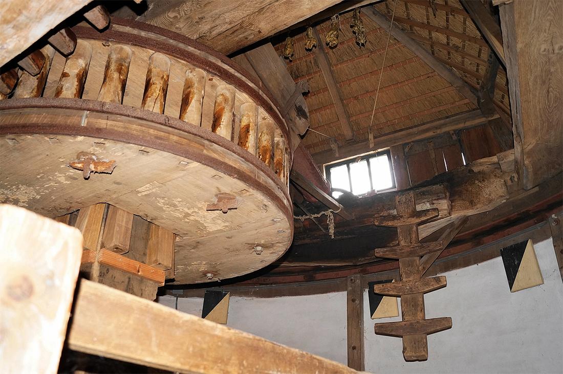 14, Molen 00084 Rijn en Lek (Wijk bij Duurstede), Boukje van Leijen (12-8-2018) | Database Nederlandse molens