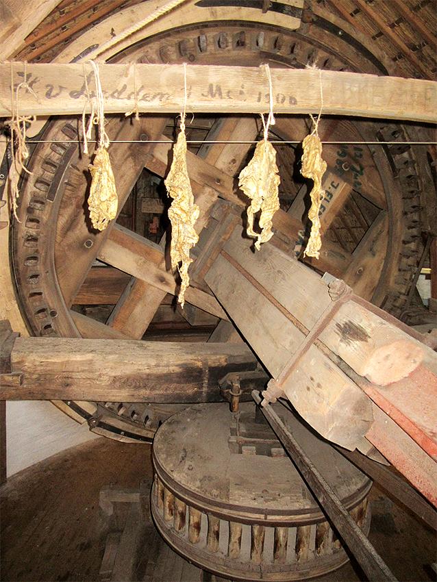17, Molen 00084 Rijn en Lek (Wijk bij Duurstede), Frank Moerland (3-2-2019) | Database Nederlandse molens