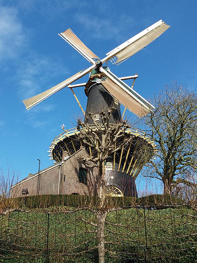 Molen 00042 De Windhond (Woerden), Jan Vroege (31-8-2018) | Database Nederlandse molens