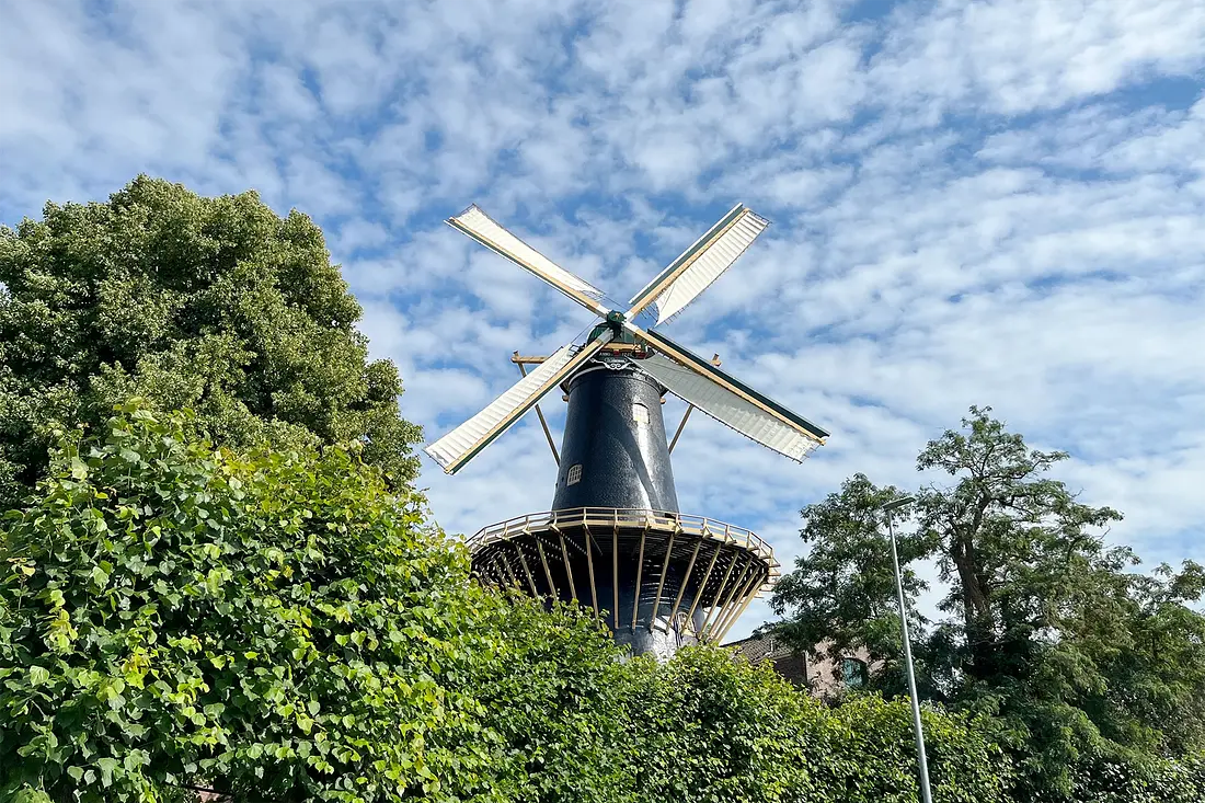 1, Molen 00042 De Windhond (Woerden), Karel Dolman (8-7-2022)Nieuw geteerd en nieuwe zeilen. | Database Nederlandse molens