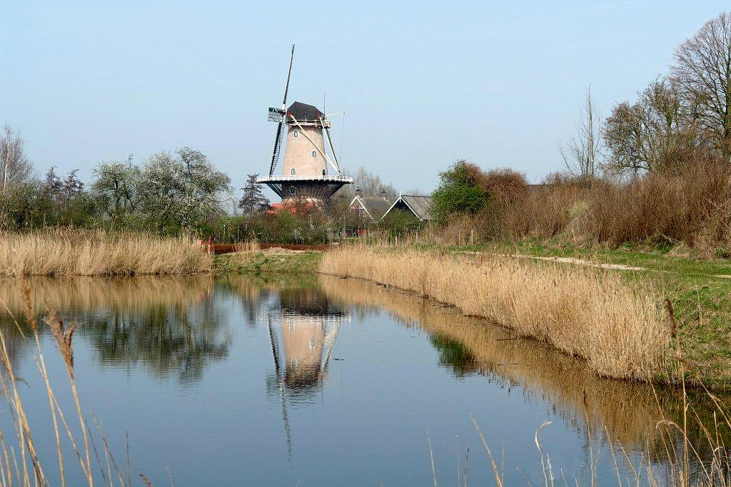5, Molen 03567 De Korenhalm (Gravenpolder, 's-), Frits Kruishaar (24-3-2012) | Database Nederlandse molens