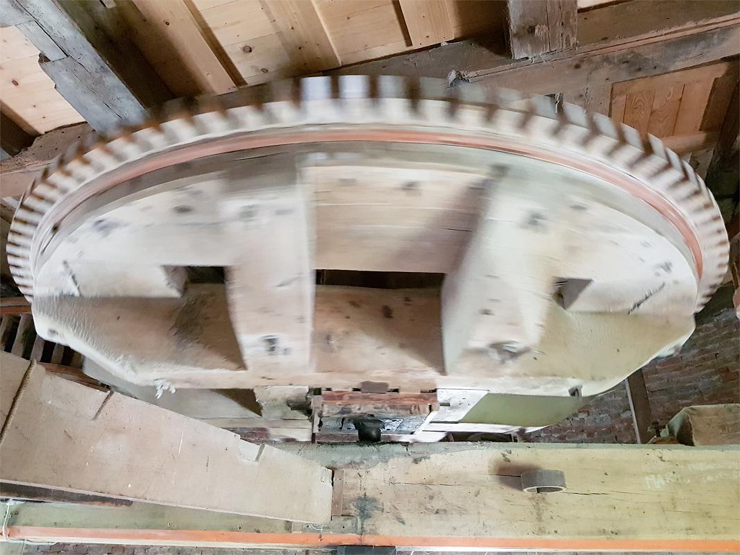 17, Molen 03567 De Korenhalm (Gravenpolder, 's-), Pieter Zuijkerbuijk (14-6-2019) | Database Nederlandse molens