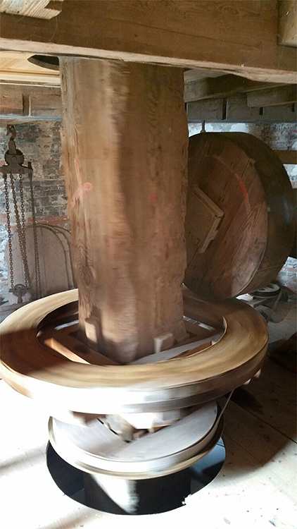 20, Molen 03567 De Korenhalm (Gravenpolder, 's-),  Pieter Zuijkerbuijk (24-3-2017) | Database Nederlandse molens