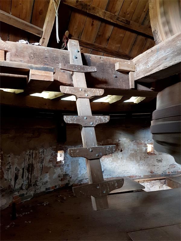 27, Molen 03567 De Korenhalm (Gravenpolder, 's-), Pieter Zuijkerbuijk (14-6-2019) | Database Nederlandse molens