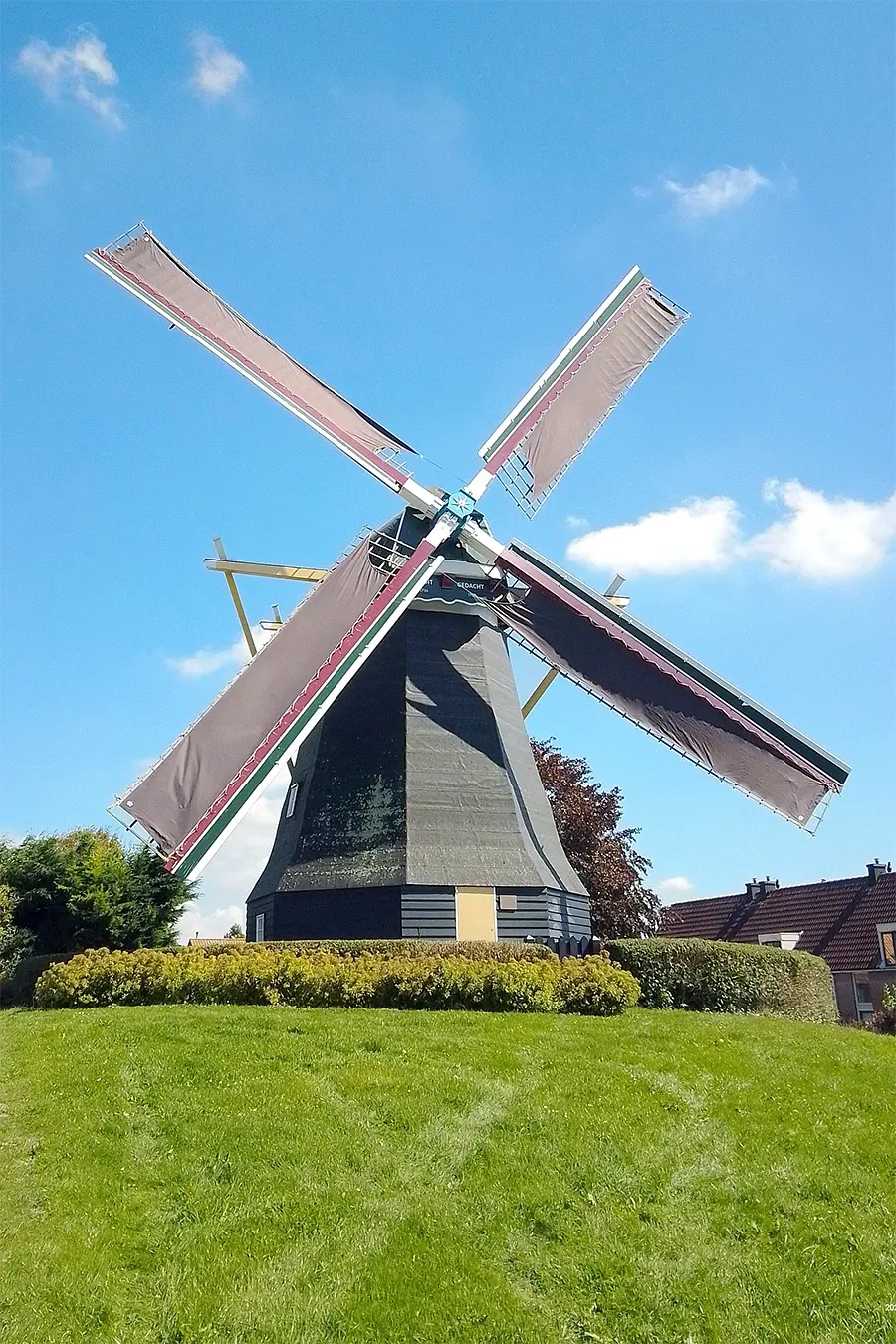 Molen 12541 Nooit Gedacht (Arnemuiden), Anthony Joziasse (21-8-2023)De nieuwe zeilen zijn voorgehangen. | Database Nederlandse molens